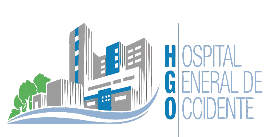 HGO Logo Vector (2)